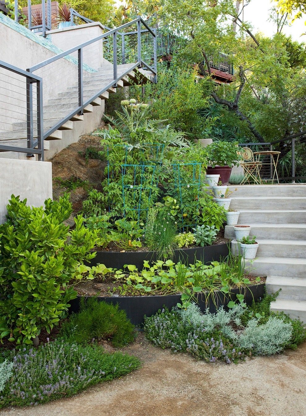 Poured-concrete stairs with cable railings climbing past tiered steel-edged garden beds