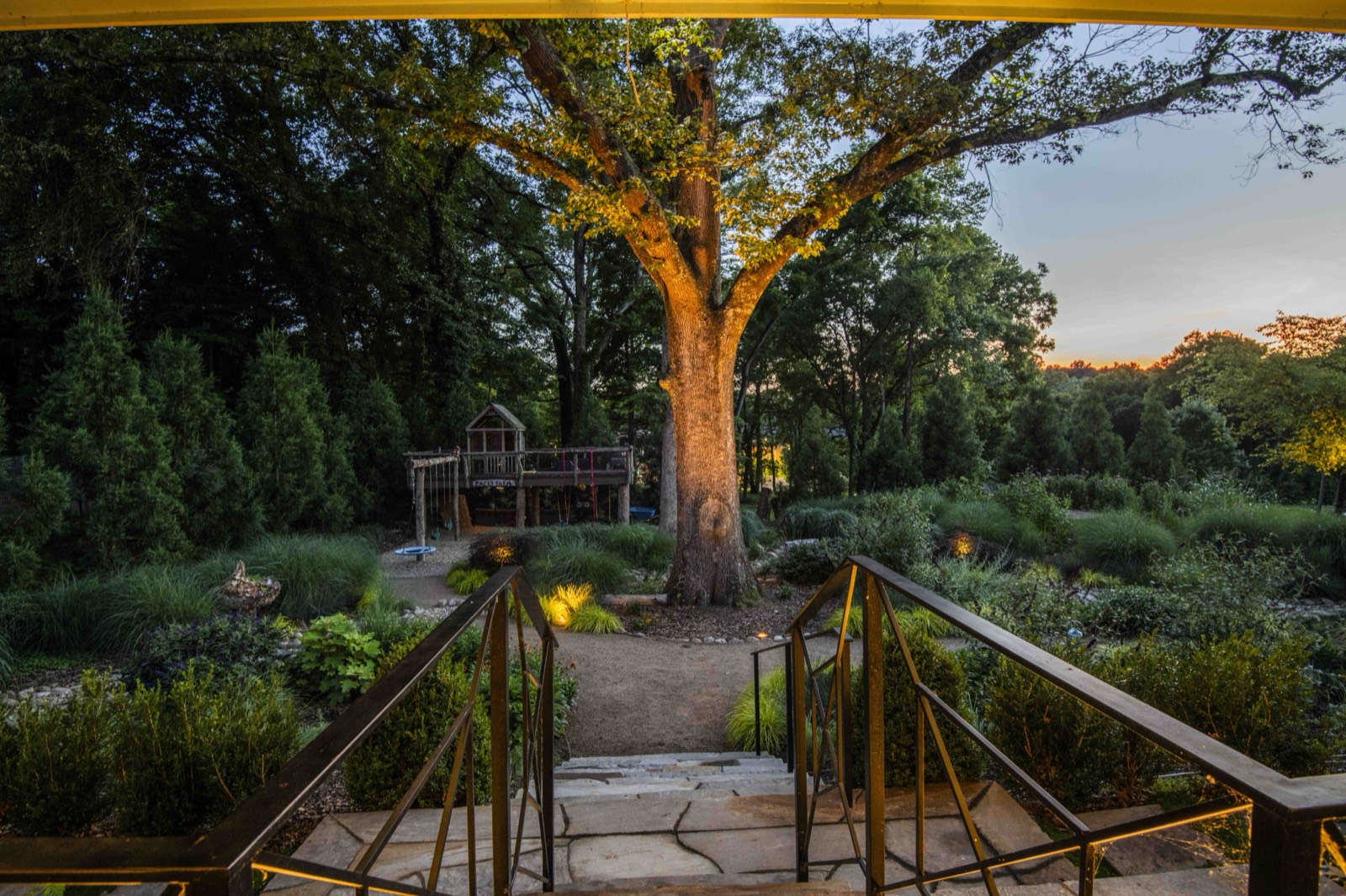 Heritage oak rising above the terraced garden and meadow plantings