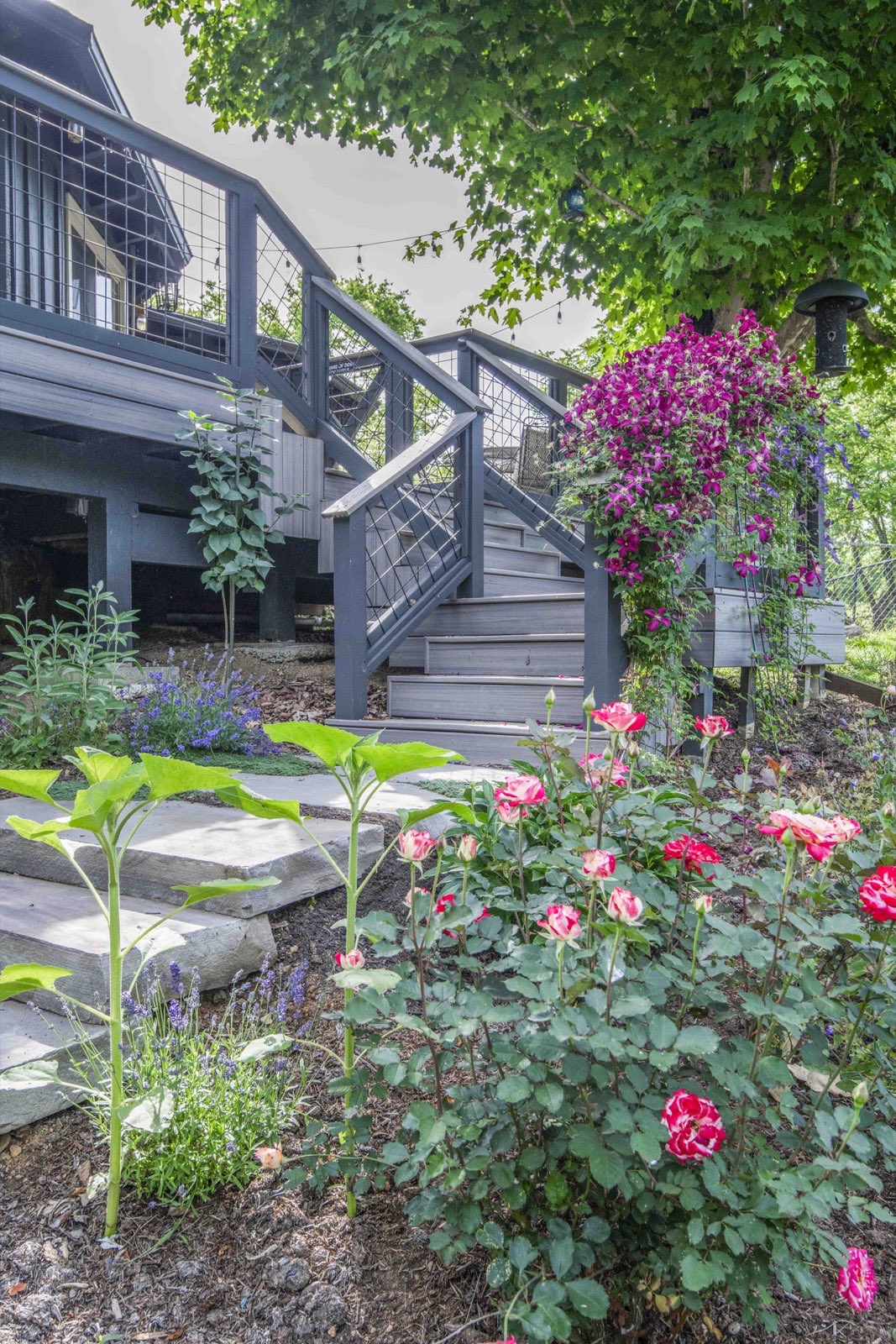 Flagstone steps and rose-and-lavender beds climbing to the deck stairs