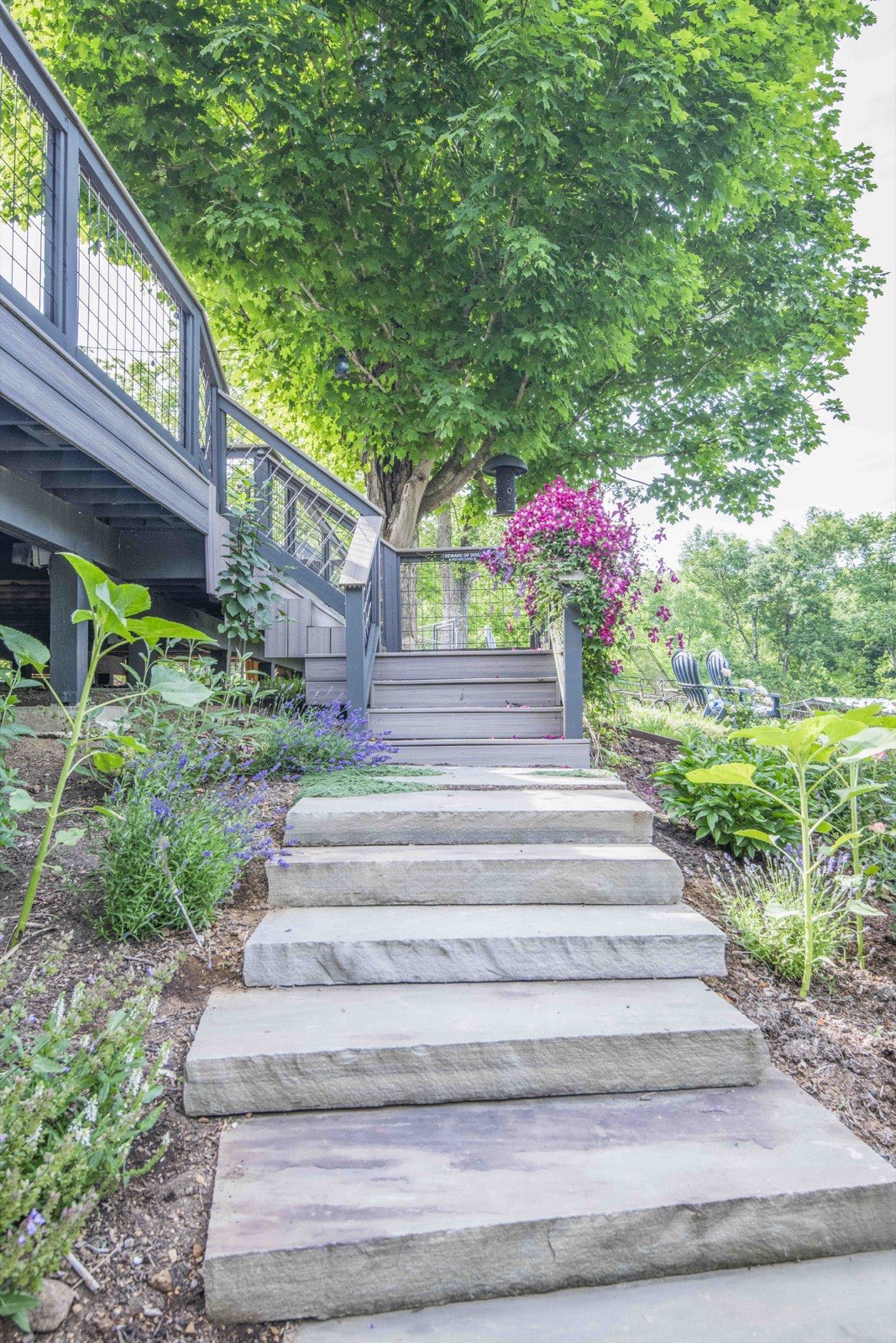Natural stone-slab steps rising through roses and lavender to the deck