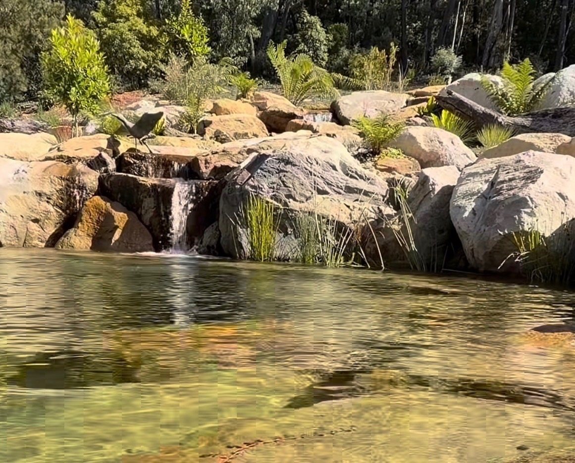 Low boulder waterfall spilling into a clear, shallow pool planted with ferns and grasses