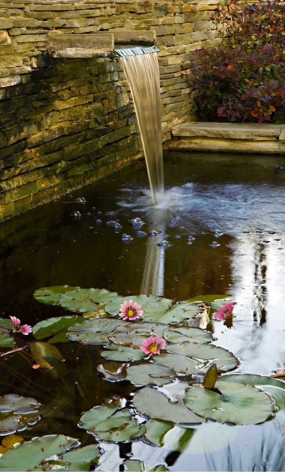 Stone scupper pouring into a pond with pink water lilies below a stacked-stone wall