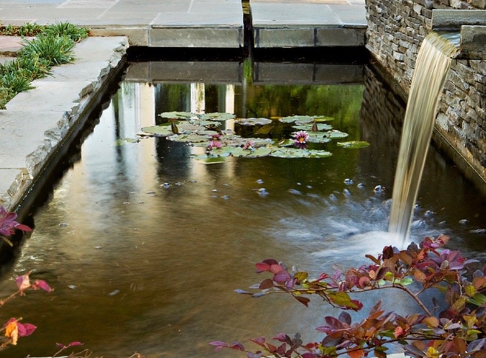 Rectangular stone-edged pond with water lilies and a spillway pouring from the wall